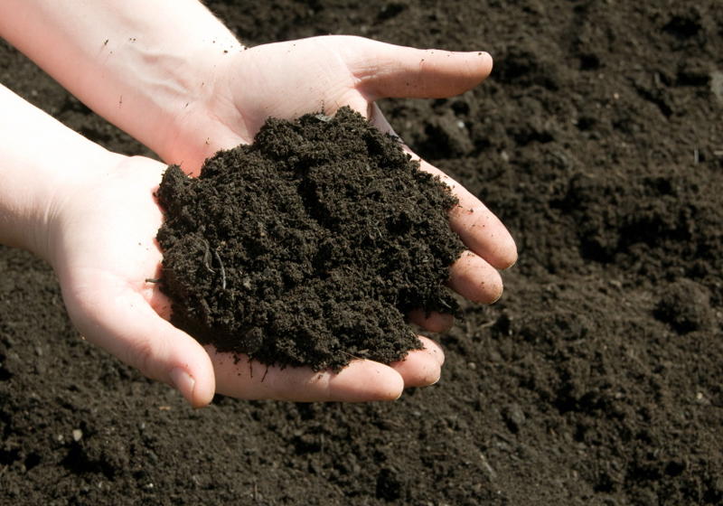 https://frador.com/wp-content/uploads/2015/06/soil-in-hands.jpg?utm_source=chatgpt.com