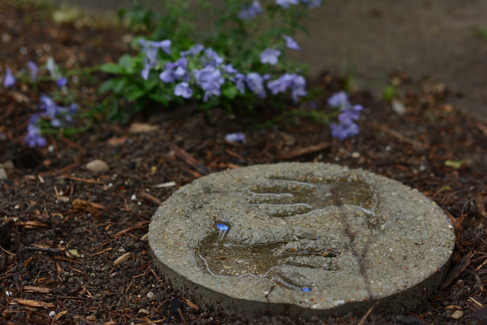 Handprints molded into a stepping stone in a garden.