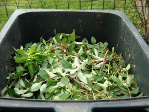 Compost bin filled with green leaves.