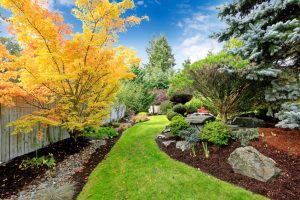 Beautiful backyard landscape design View of colorful trees and decorative trimmed bushes and rocks